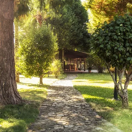 לינה וארוחת בוקר Casa Paredes 3*