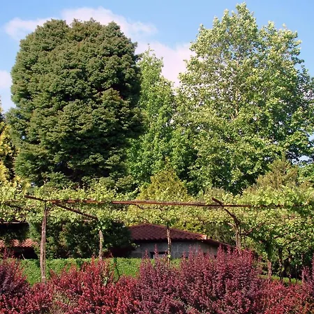 Casa Paredes פאפה