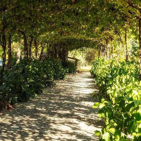 לינה וארוחת בוקר Casa Paredes