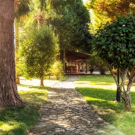 Alojamento de Acomodação e Pequeno-almoço Casa Paredes 3*