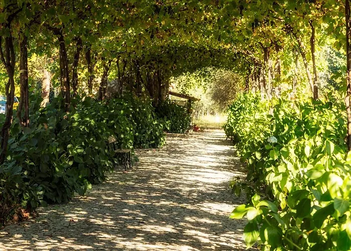 Bed & Breakfast Casa Paredes