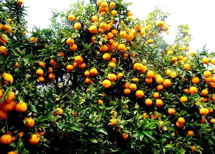 Casa Paredes Bed & Breakfast 3*